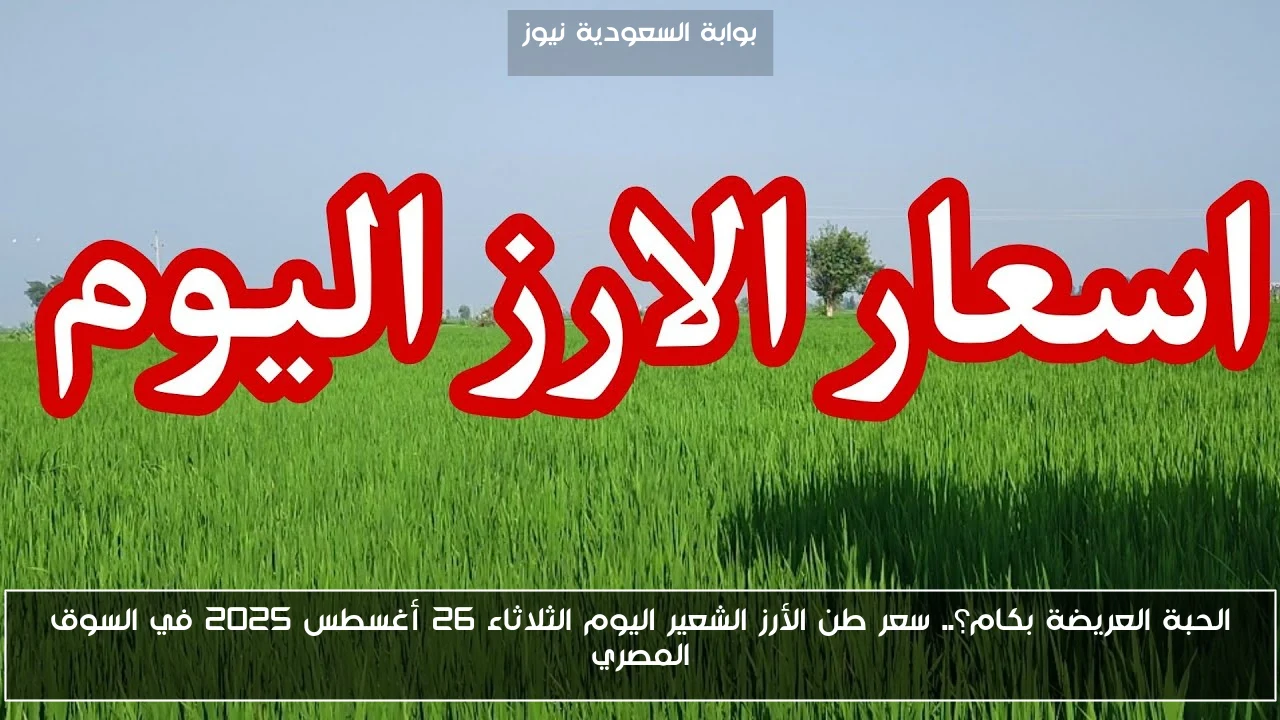 الحبة العريضة بكام؟.. سعر طن الأرز الشعير اليوم الثلاثاء 26 أغسطس 2025 في السوق المصري