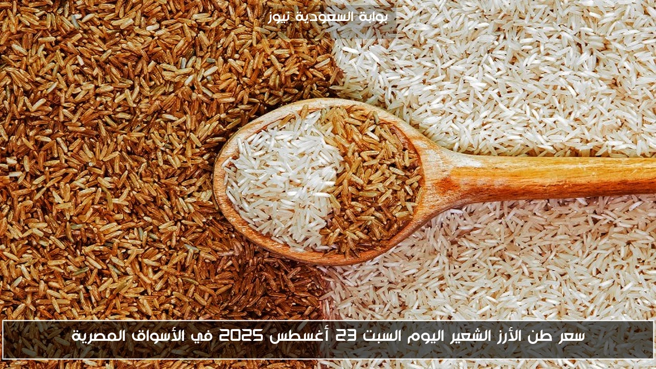 سعر طن الأرز الشعير اليوم السبت 23 أغسطس 2025 في الأسواق المصرية