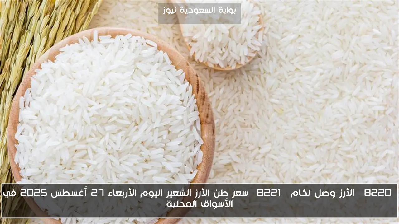 “الأرز وصل لكام” سعر طن الأرز الشعير اليوم الأربعاء 27 أغسطس 2025 في الأسواق المحلية