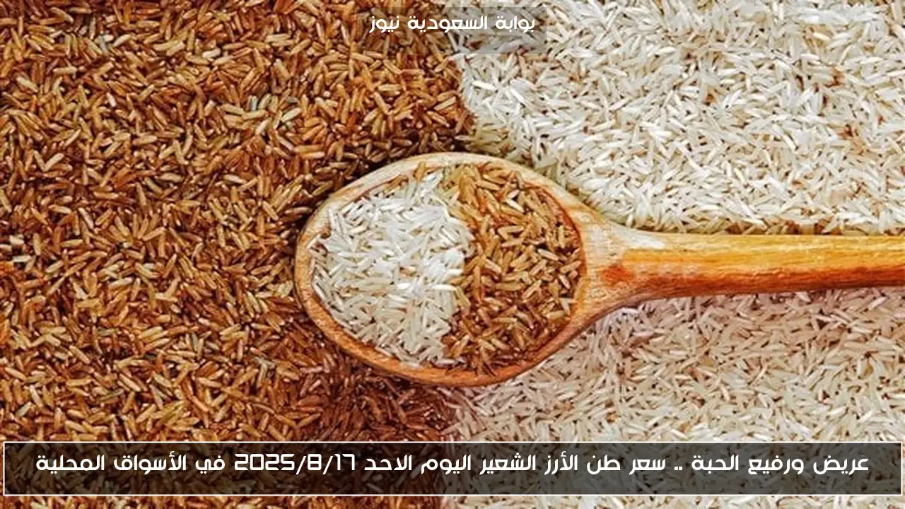 عريض ورفيع الحبة .. سعر طن الأرز الشعير اليوم الاحد 2025/8/17 في الأسواق المحلية