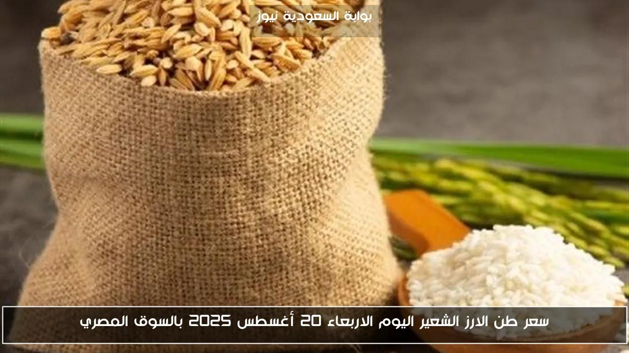 سعر طن الارز الشعير اليوم الاربعاء 20 أغسطس 2025 بالسوق المصري