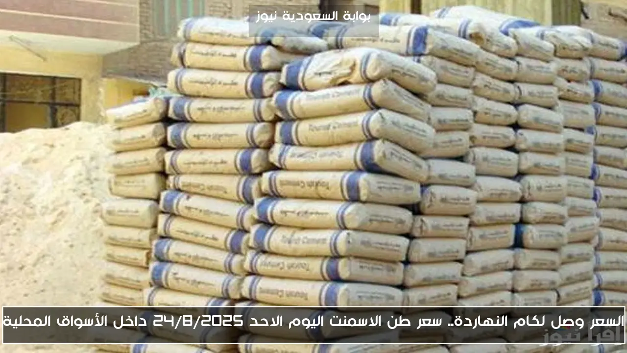 السعر وصل لكام النهاردة.. سعر طن الاسمنت اليوم الاحد 24/8/2025 داخل الأسواق المحلية