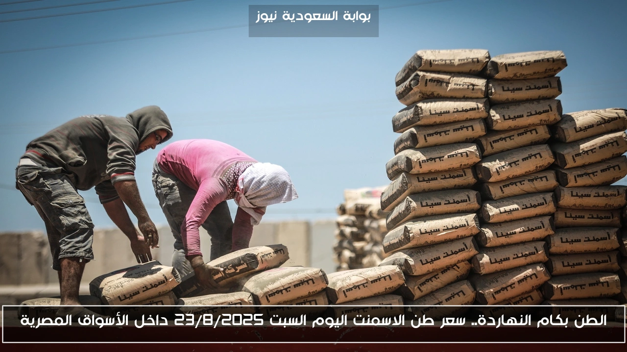 الطن بكام النهاردة.. سعر طن الاسمنت اليوم السبت 23/8/2025 داخل الأسواق المصرية