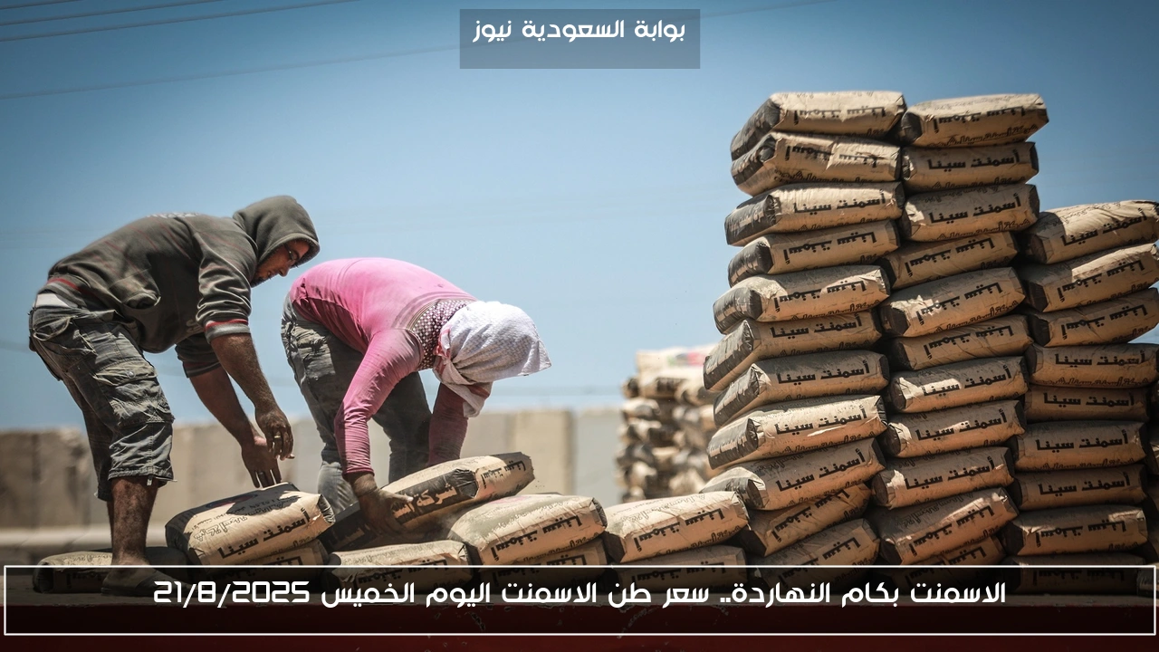 الاسمنت بكام النهاردة.. سعر طن الاسمنت اليوم الخميس 21/8/2025