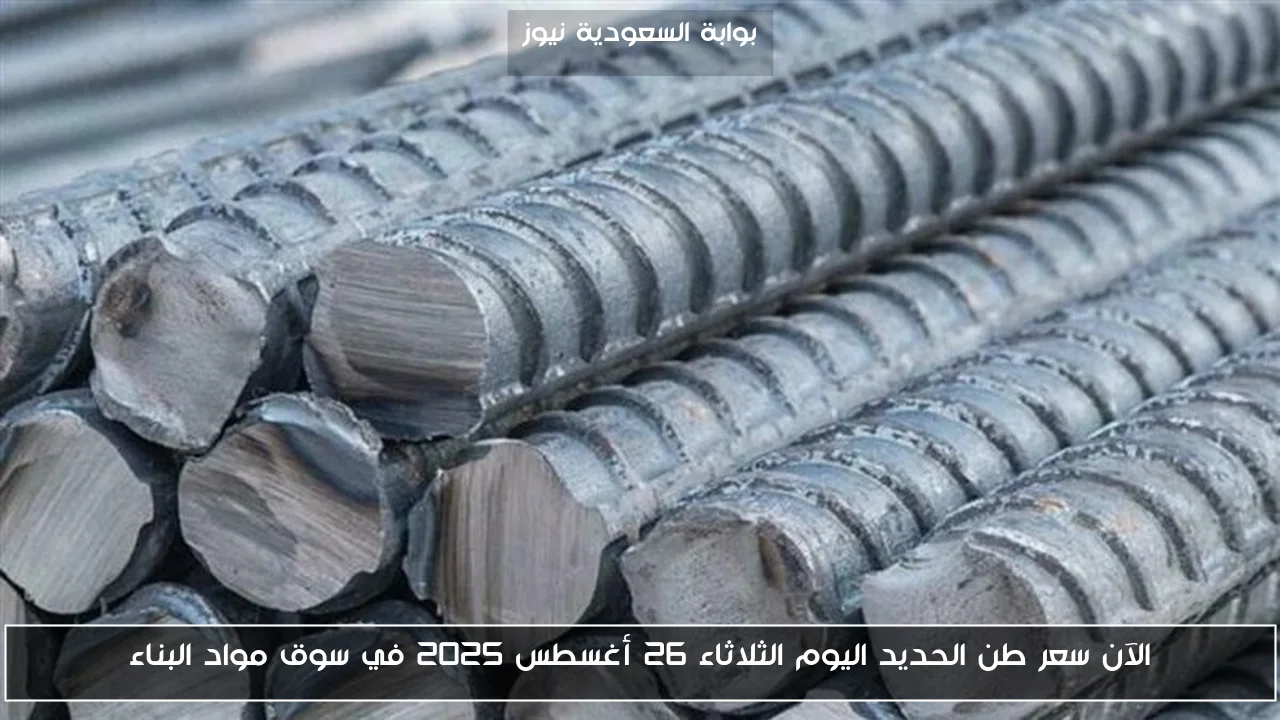 الآن سعر طن الحديد اليوم الثلاثاء 26 أغسطس 2025 في سوق مواد البناء