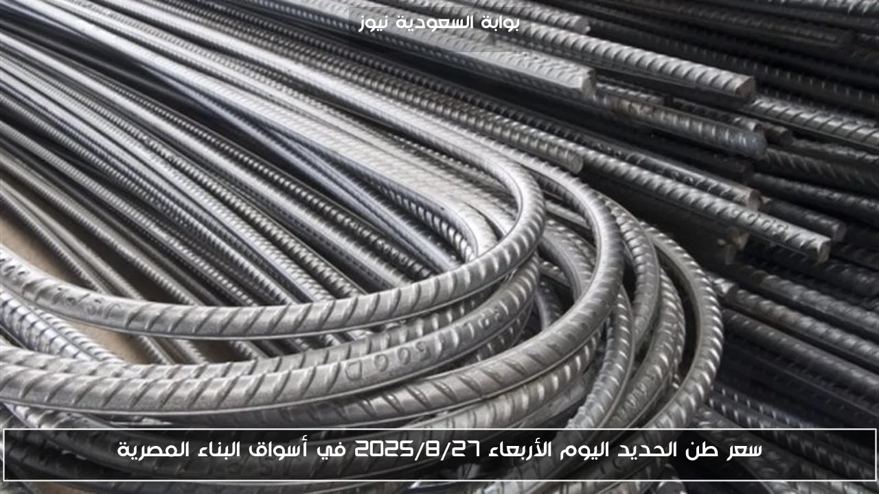 سعر طن الحديد اليوم الأربعاء 2025/8/27 في أسواق البناء المصرية