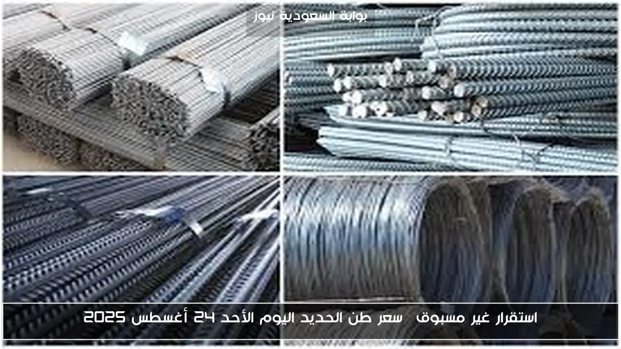 استقرار غير مسبوق… سعر طن الحديد اليوم الأحد 24 أغسطس 2025