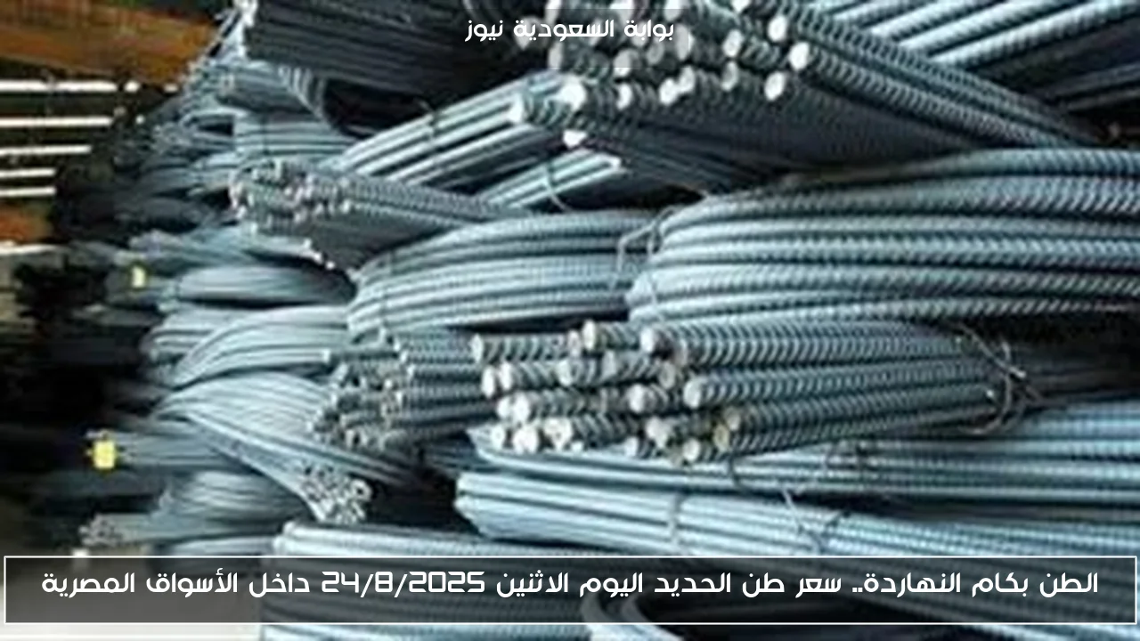 الطن بكام النهاردة.. سعر طن الحديد اليوم الاثنين 24/8/2025 داخل الأسواق المصرية