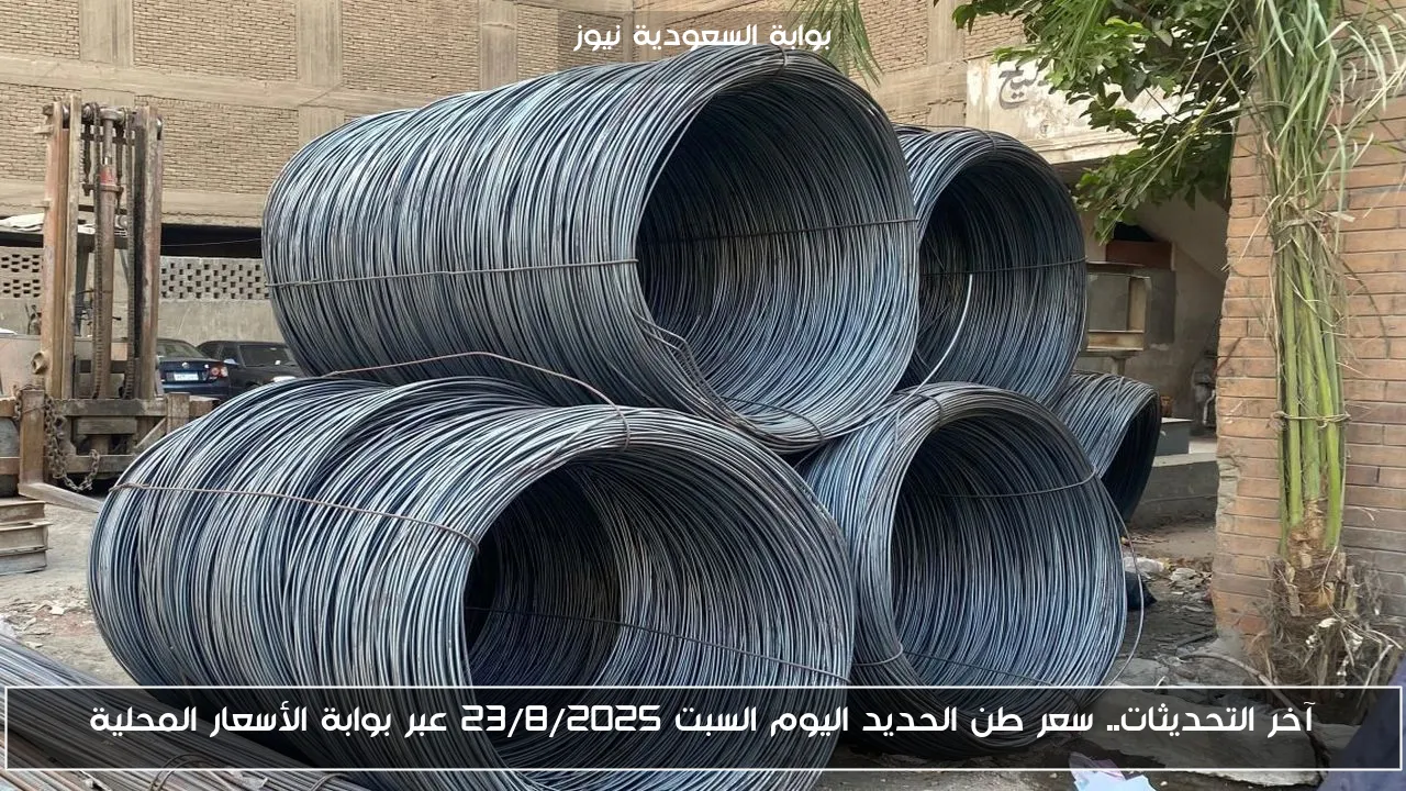 آخر التحديثات.. سعر طن الحديد اليوم السبت 23/8/2025 عبر بوابة الأسعار المحلية