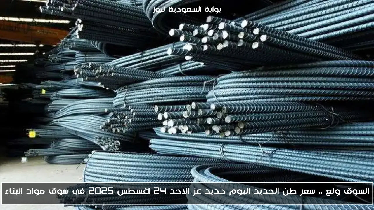 السوق ولع .. سعر طن الحديد اليوم حديد عز الاحد 24 اغسطس 2025 في سوق مواد البناء