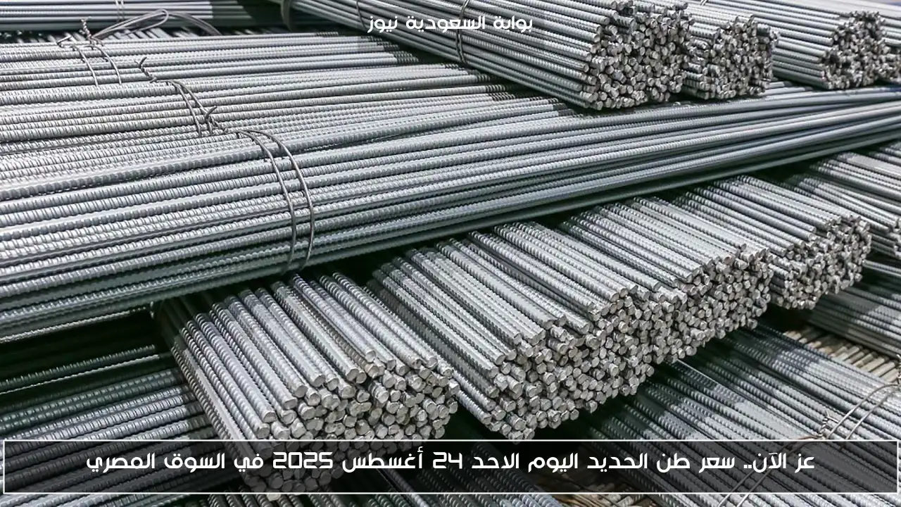 عز الآن.. سعر طن الحديد اليوم الاحد 24 أغسطس 2025 في السوق المصري