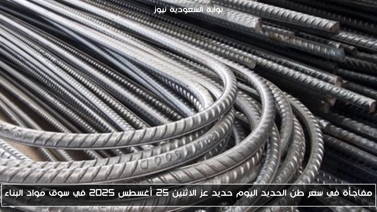 مفاجأة في سعر طن الحديد اليوم حديد عز الاثنين 25 أغسطس 2025 في سوق مواد البناء