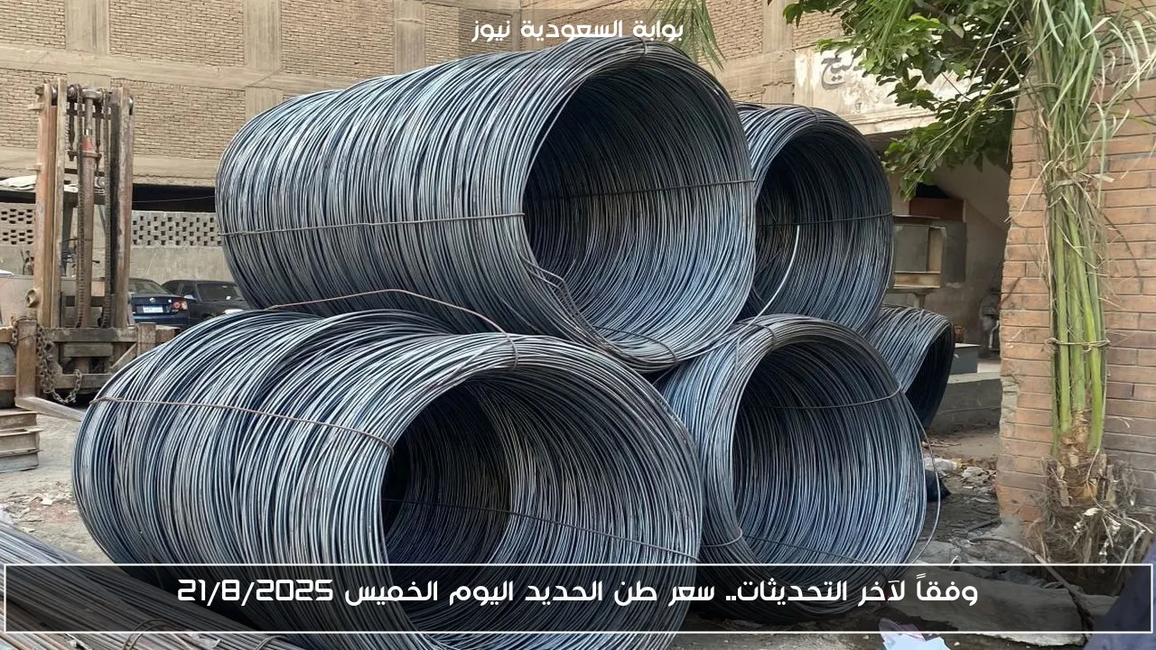 وفقاً لآخر التحديثات.. سعر طن الحديد اليوم الخميس 21/8/2025