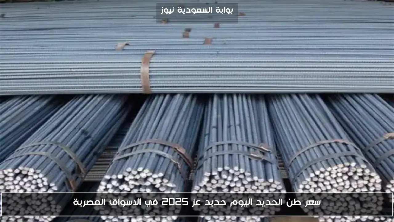 سعر طن الحديد اليوم حديد عز 2025 في الاسواق المصرية