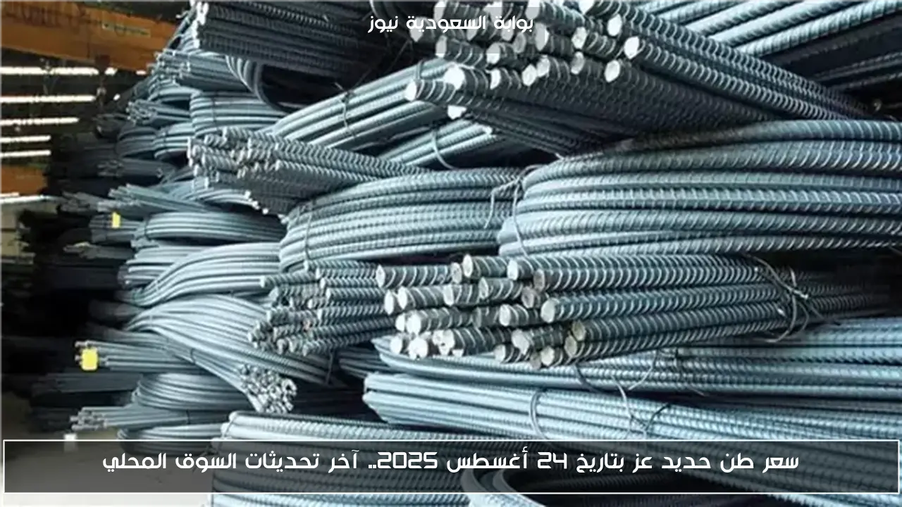 سعر طن حديد عز بتاريخ 24 أغسطس 2025.. آخر تحديثات السوق المحلي