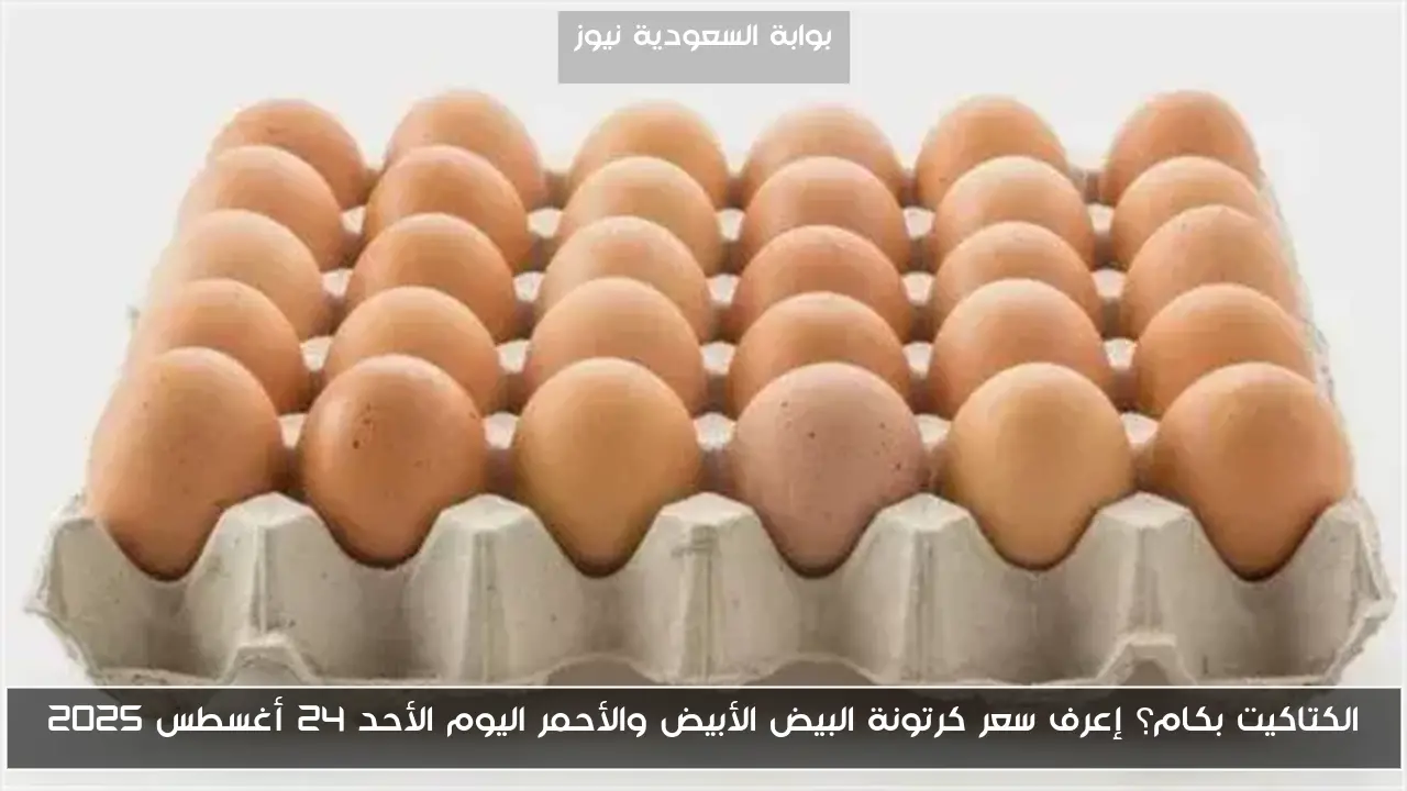 الكتاكيت بكام؟ إعرف سعر كرتونة البيض الأبيض والأحمر اليوم الأحد 24 أغسطس 2025