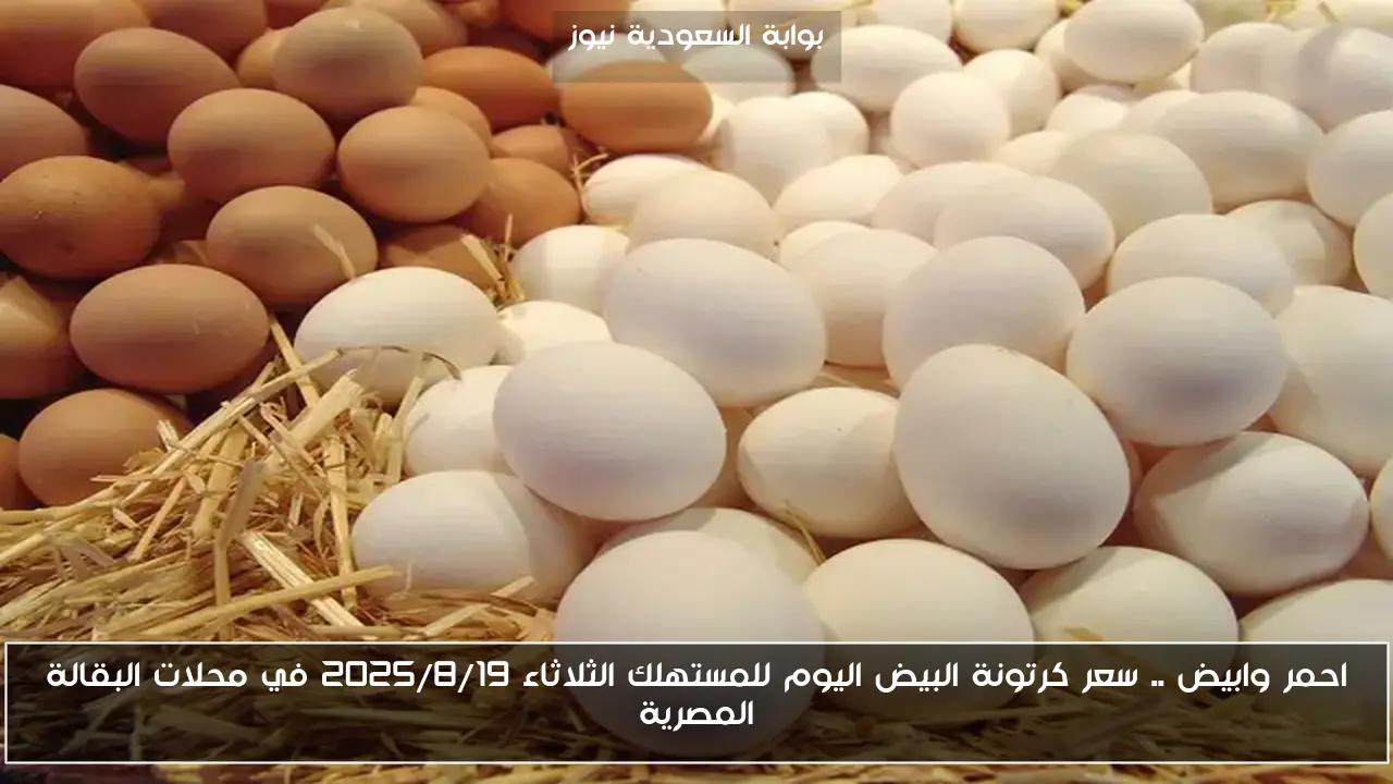 احمر وابيض .. سعر كرتونة البيض اليوم للمستهلك الثلاثاء 2025/8/19 في محلات البقالة المصرية
