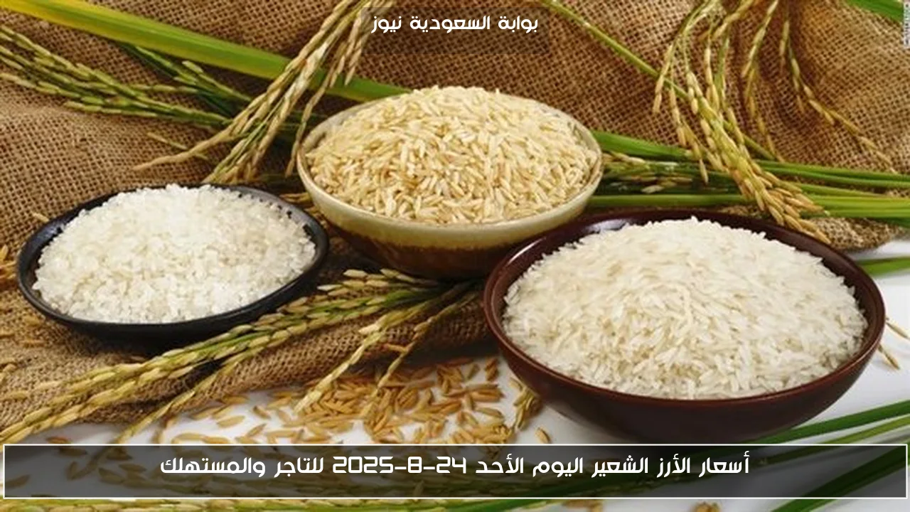 أسعار الأرز الشعير اليوم الأحد 24-8-2025 للتاجر والمستهلك