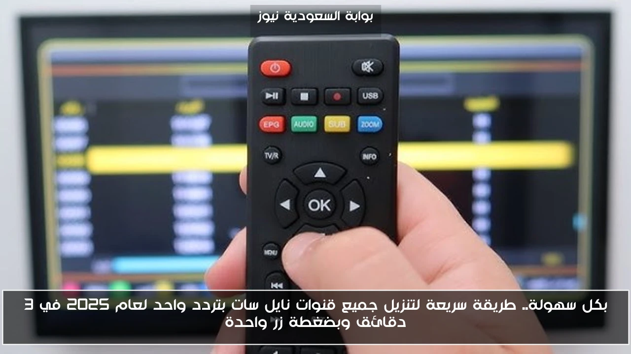 بكل سهولة.. طريقة سريعة لتنزيل جميع قنوات نايل سات بتردد واحد لعام 2025 في 3 دقائق وبضغطة زر واحدة
