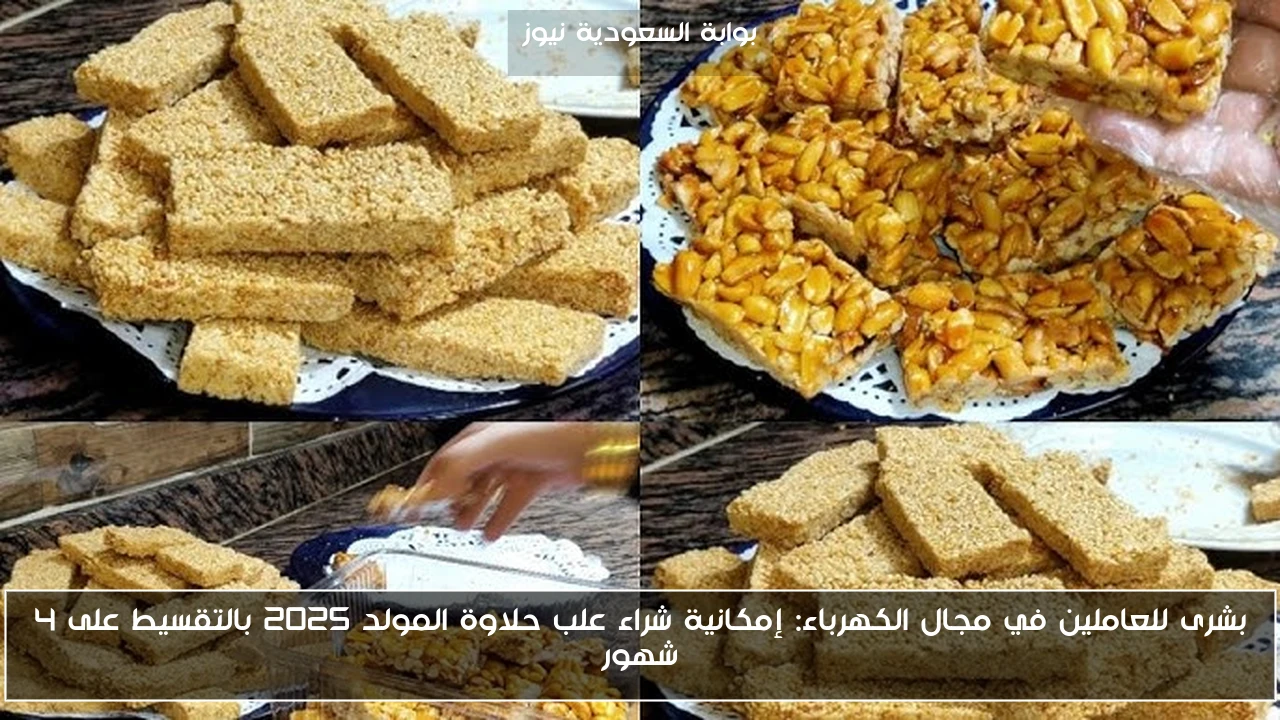 بشرى للعاملين في مجال الكهرباء: إمكانية شراء علب حلاوة المولد 2025 بالتقسيط على 4 شهور