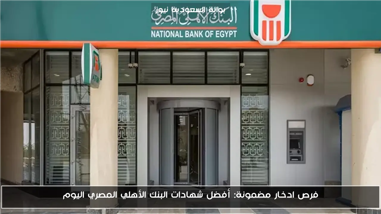 فرص ادخار مضمونة: أفضل شهادات البنك الأهلي المصري اليوم
