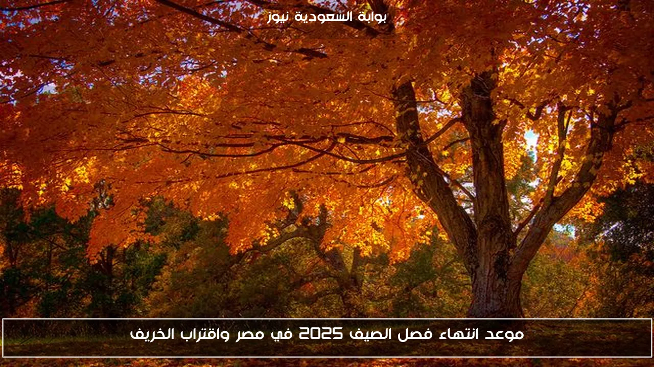 موعد انتهاء فصل الصيف 2025 في مصر واقتراب الخريف