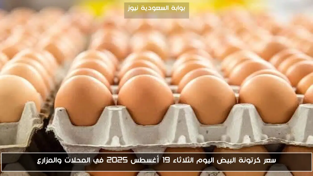 سعر كرتونة البيض اليوم الثلاثاء 19 أغسطس 2025 في المحلات والمزارع