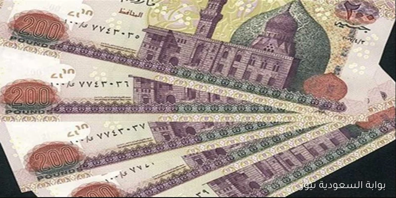 1500 جـ بهذا الموعد .. التسجيل علي منحة العمالة الغير منتظمة 2025 من موقع وزارة العمل