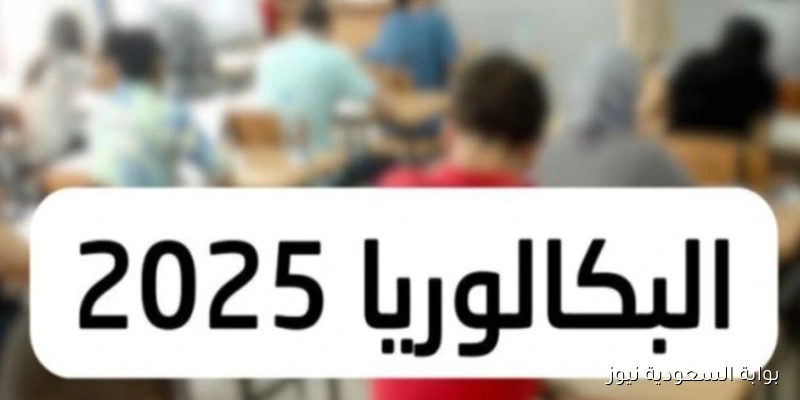 استخرج نتيجتك بسهولة .. رابط دخول تطبيق نتائج البكالوريا 2025 سوريا حسب الاسم ورقم الاكتتاب