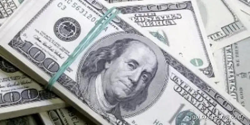 للمتعاملين في الصرف.. سعر الدولار مقابل الجنيه وفقاً لبيانات البنك المركزي