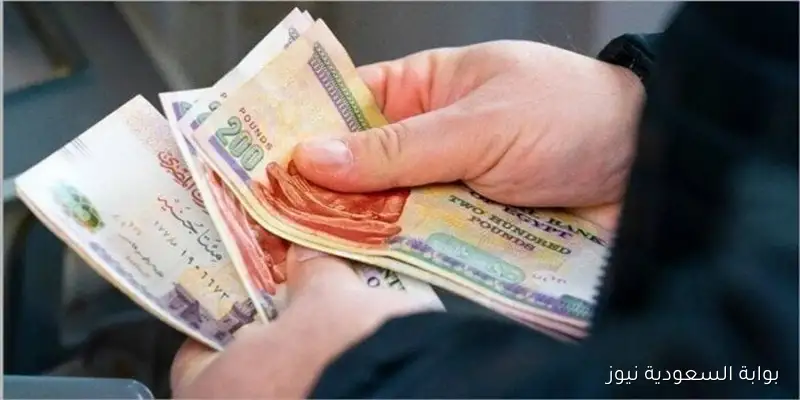 “فرصة ذهبية” 1500 جنيه منحة المولد النبوي 2025 خطوات التقديم عبر موقع وزارة القوى العاملة