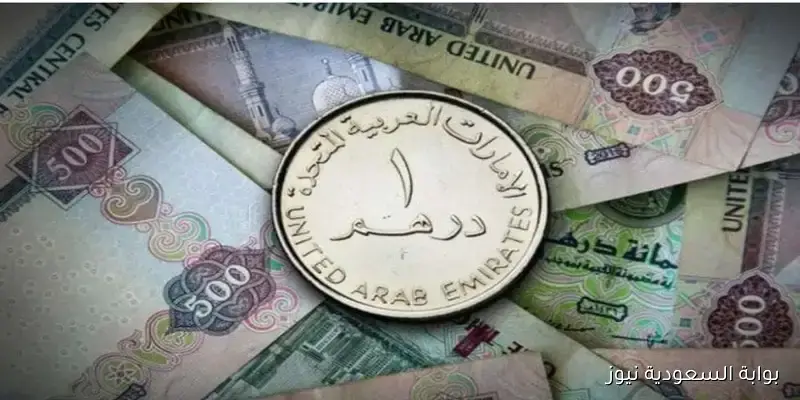 إلحق اعرف.. سعر الدرهم الإماراتي في مصر اليوم الخميس 4 سبتمبر 2025