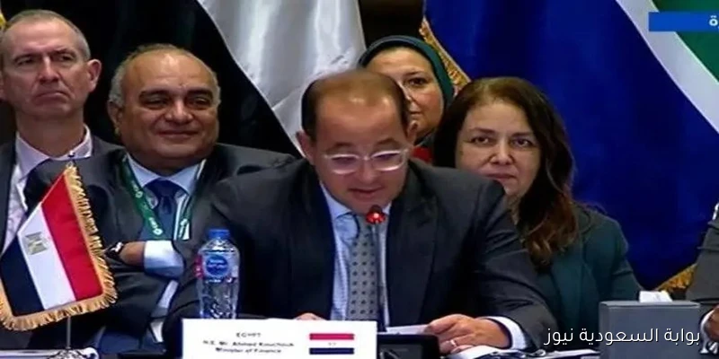 وزير المالية في مجموعة العشرين يناقش ضرورة التعاون الدولي لمواجهة أزمات الأمن الغذائي والمالي