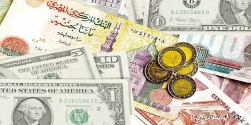 أسعار العملات بتاريخ السبت 13-9-2025: الدولار يسجل 48.15 جنيه للشراء
