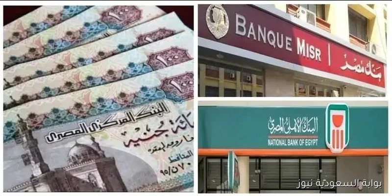 أعلى شهادات الادخار في البنوك المصرية: استثمر بأمان واحصل على عائد مرتفع