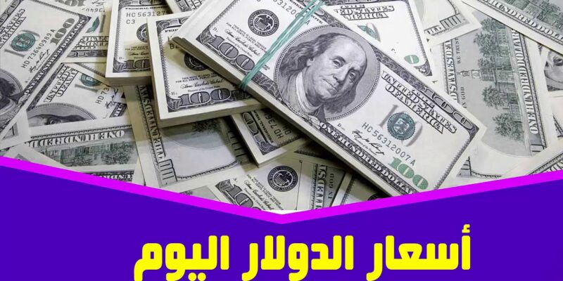 رسميا USD.. أعلي سعر للدولار في السوق السوداء اليوم الاثنين 8 سبتمبر 2025 مقابل الجنيه المصري