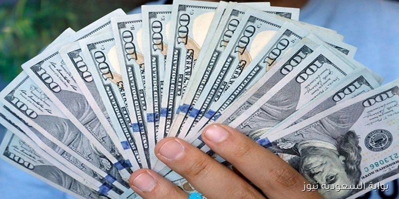 أعلي سعر للدولار في السوق السوداء اليوم الأربعاء 3 سبتمبر 2025 مقابل الجنية المصري