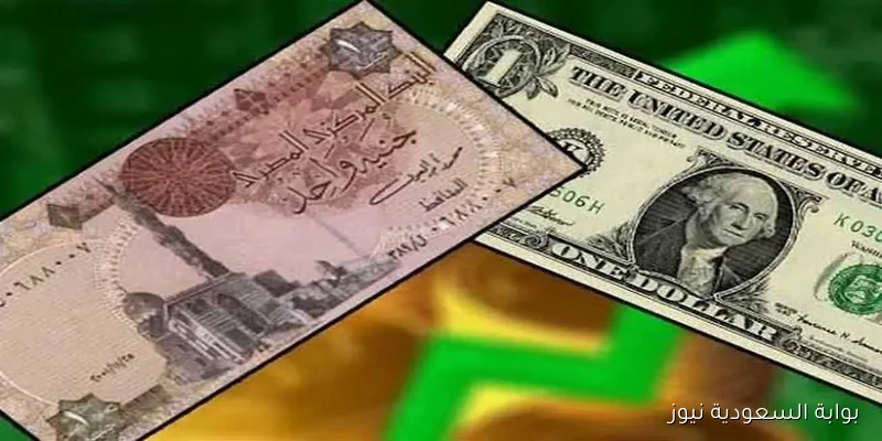 ارتفاع سعر الدولار الأمريكي في البنك الأهلي المصري وسط تقلبات في سوق العملات