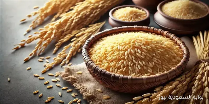رفيع وعريض الحبة .. الآن سعر طن الأرز الشعير اليوم السبت 2025/9/13 في الأسواق المصرية