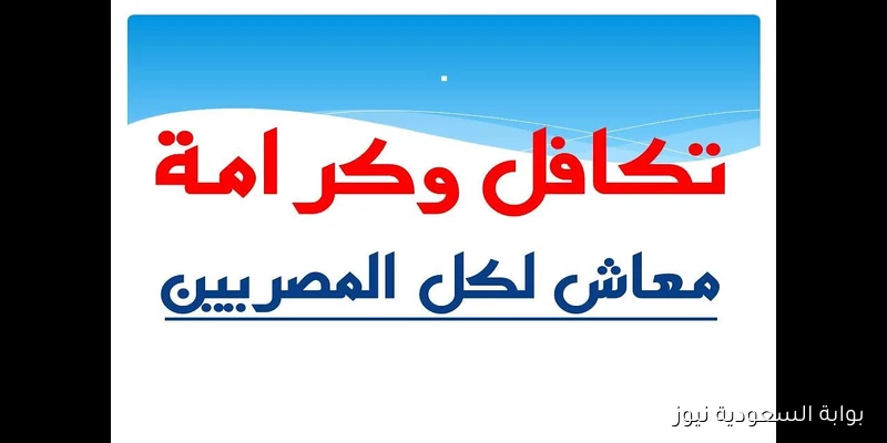 متاح الآن.. الاستعلام عن معاش تكافل وكرامة 2025 بالرقم القومي عبر موقع وزارة التضامن الاجتماعي