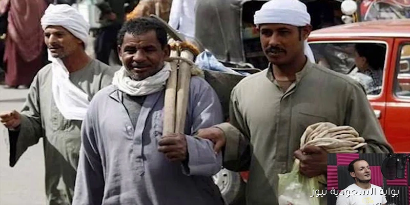 خطوات الاستعلام عن منحة العمالة غير المنتظمة 2025 للحصول علي 1500 جنيه في المولد