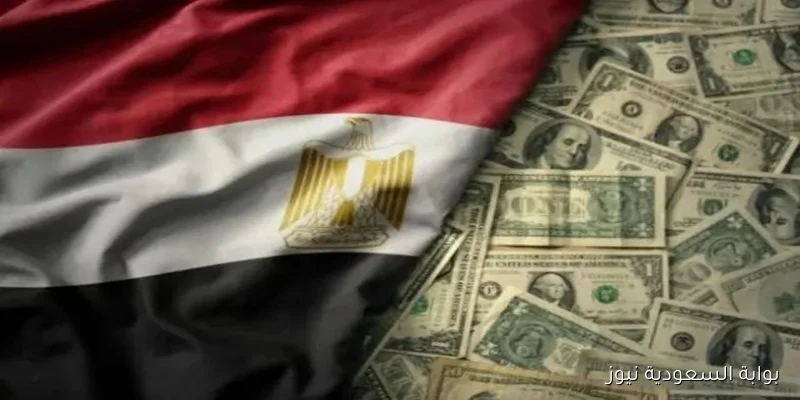 الدولار يكسر حاجز 48 جنيهًا في البنوك لأول مرة منذ أكثر من عام