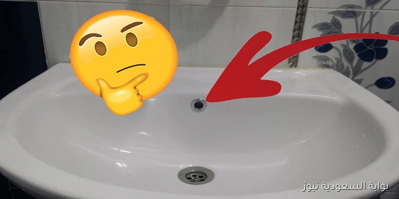 السبب الغريب وراء وجود فتحة في حوض الحمام.. كيف أنقذت حياة عائلة بالكامل؟
