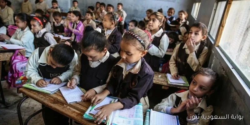 رابط نتيجة التحويلات المدرسية 2025 بالرقم القومي فقط وجميع المراحل التعلمية
