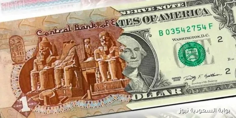 تراجع الدولار الأمريكي أمام الجنيه ليصل إلى 48 جنيهًا مع زيادة الاحتياطي النقدي
