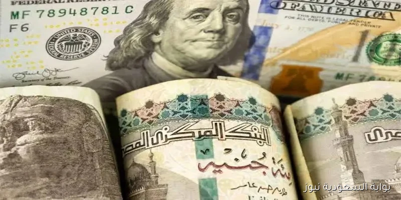 تراجع الدولار الأمريكي أمام الجنيه: مؤشر على تعافي الاقتصاد وتوقعات باستقرار نسبي
