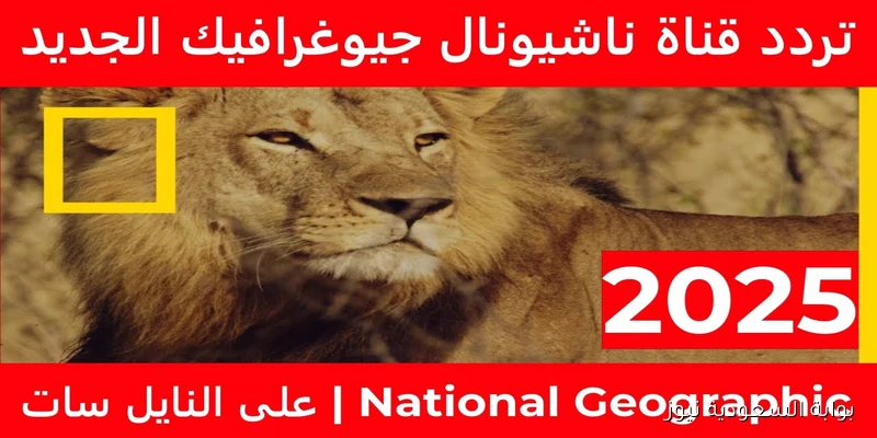 National Geographic تردد قناة ناشيونال جيوغرافيك نايل سات الجديد 2025 وكيفية تحميلها علي جهاز الاستقبال