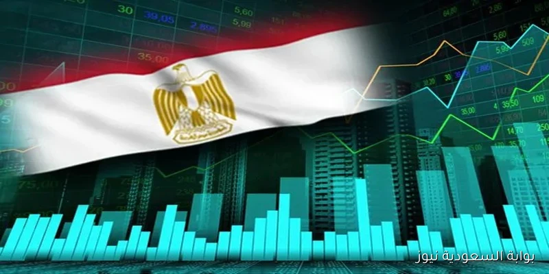 خبير اقتصادي: الحكومة تطلق «السردية الوطنية» والمواطنون بحاجة إلى إجراءات ملموسة لحماية الفئات الأكثر فقرًا