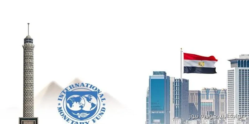 خبير اقتصادي يوضح لـ«» شروط التخلي عن صندوق النقد الدولي وبدائل التمويل