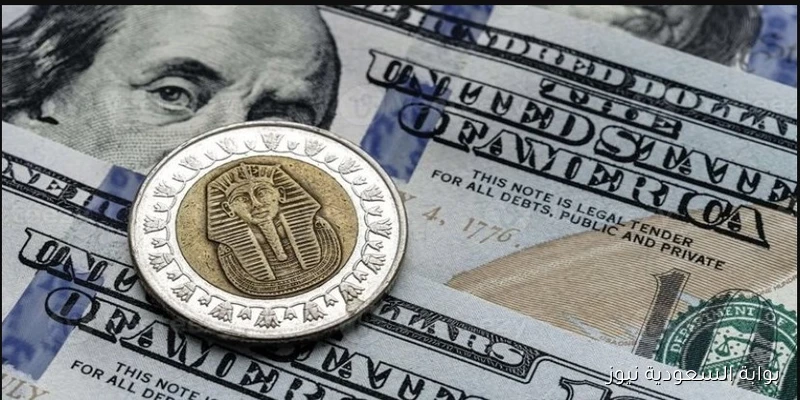 اعلان البنك المركزي.. سعر الدولار اليوم الأربعاء 3 سبتمبر 2025 سوق سوداء وبنوك